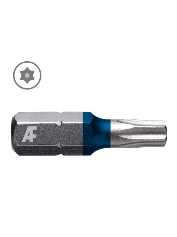 T10 x 1 Pin Torx Tamper Resist Insert Bit