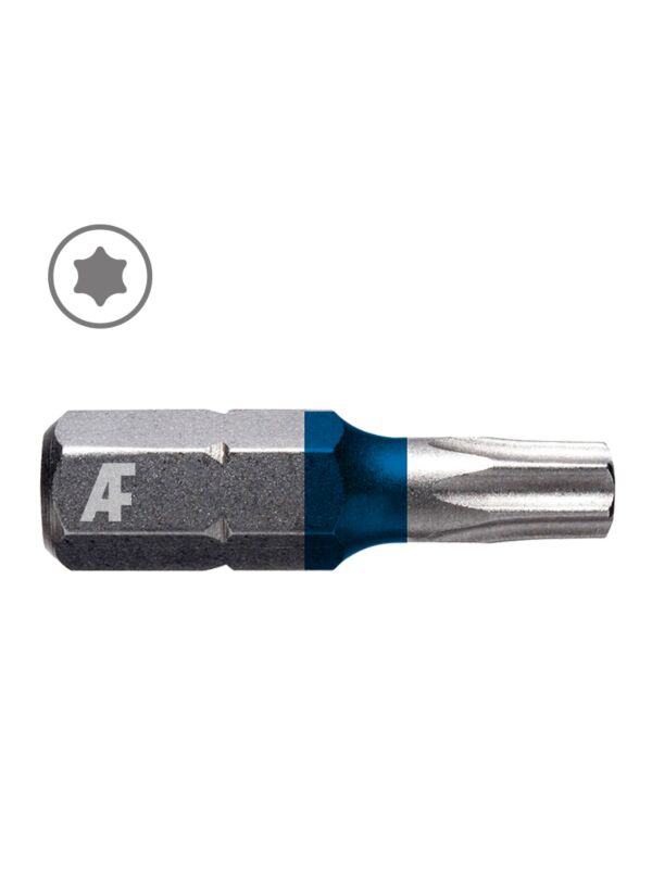 T45 x 1 Torx Insert Bit